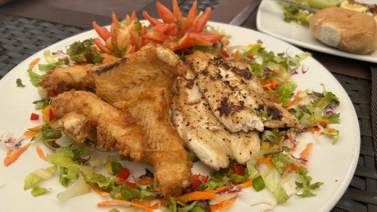 The day's catch cleaned, cooked and plated after a Puerto Vallarta fishing charter